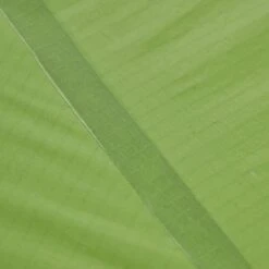 VAUDE LIZARD SEAMLESS 1-2P - Einpersonenzelt -Outdoor Produkten Geschäft 5637736447 af power lizard seamless 12p cress green vaude 24