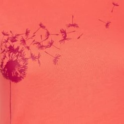 La Sportiva WINDY T-SHIRT W Damen -Outdoor Produkten Geschäft 5638022639 f windy tshirt w la sportiva 24