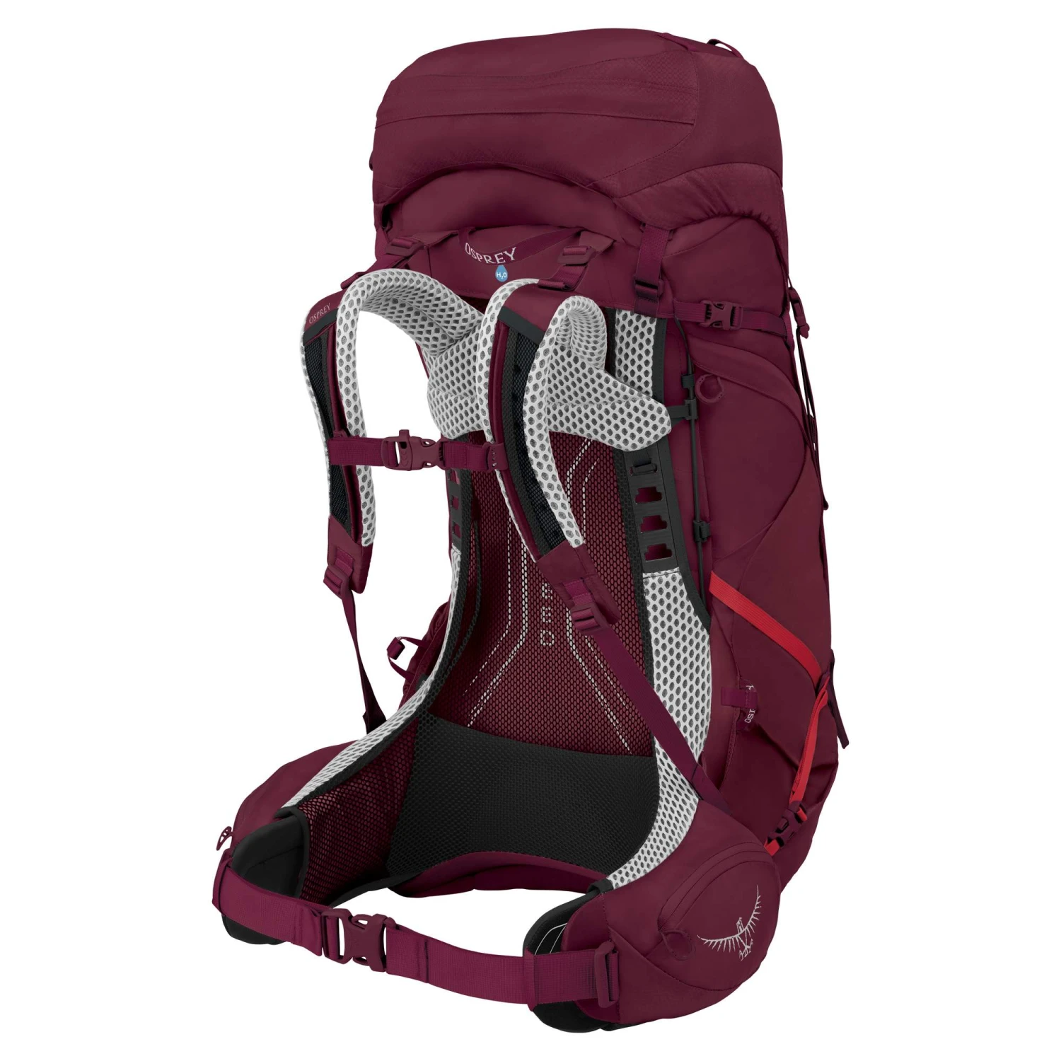 Osprey AURA AG LT 50 Damen - Trekkingrucksack Damen 4 Osprey AURA AG LT 50 Damen - Trekkingrucksack Damen – Bild 2